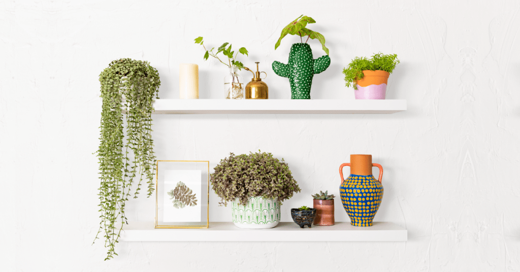 เปลี่ยนบ้านเก่าเป็นบ้านใหม่ - ชั้นวางของใหม่