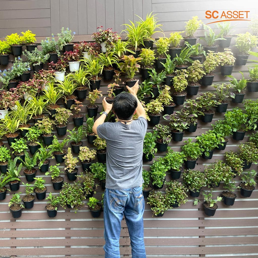 สวนแนวตั้ง หนึ่งในไอเดียจัดสวนบ้านทาวน์โฮม