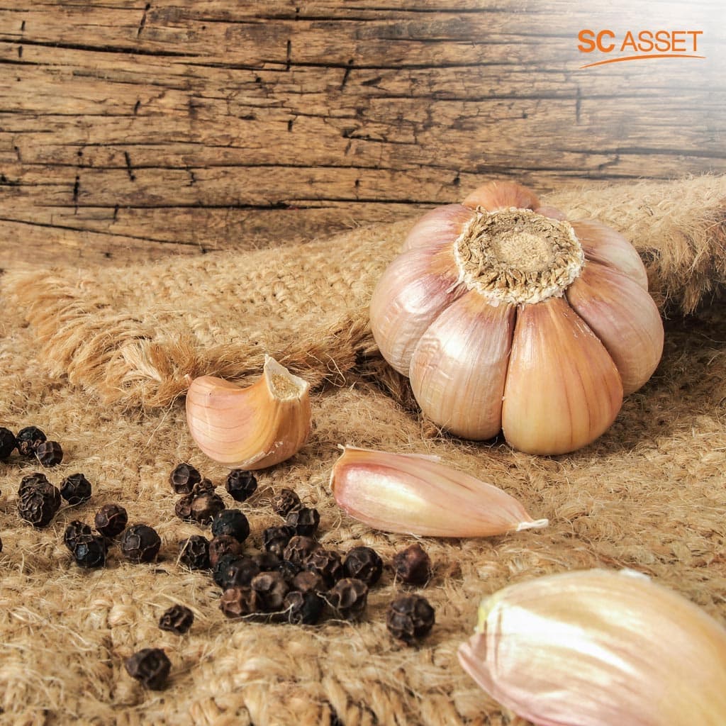 วิธีไล่ยุงแบบธรรมชาติด้วยการใช้กระเทียมพริกไทยดำ