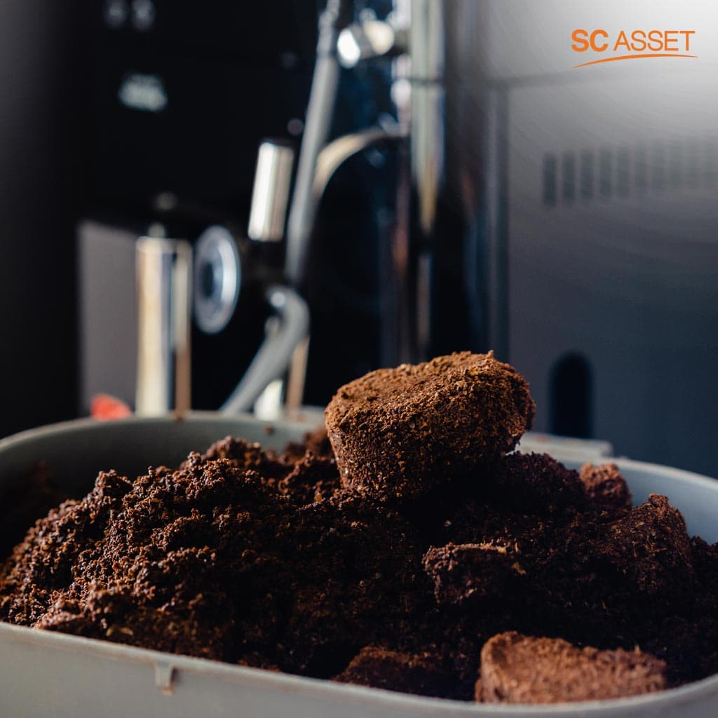 กากกาแฟอีกหนึ่งสิ่งของใกล้ตัวที่ใช้ในวิธีไล่ยุงแบบธรรมชาติ