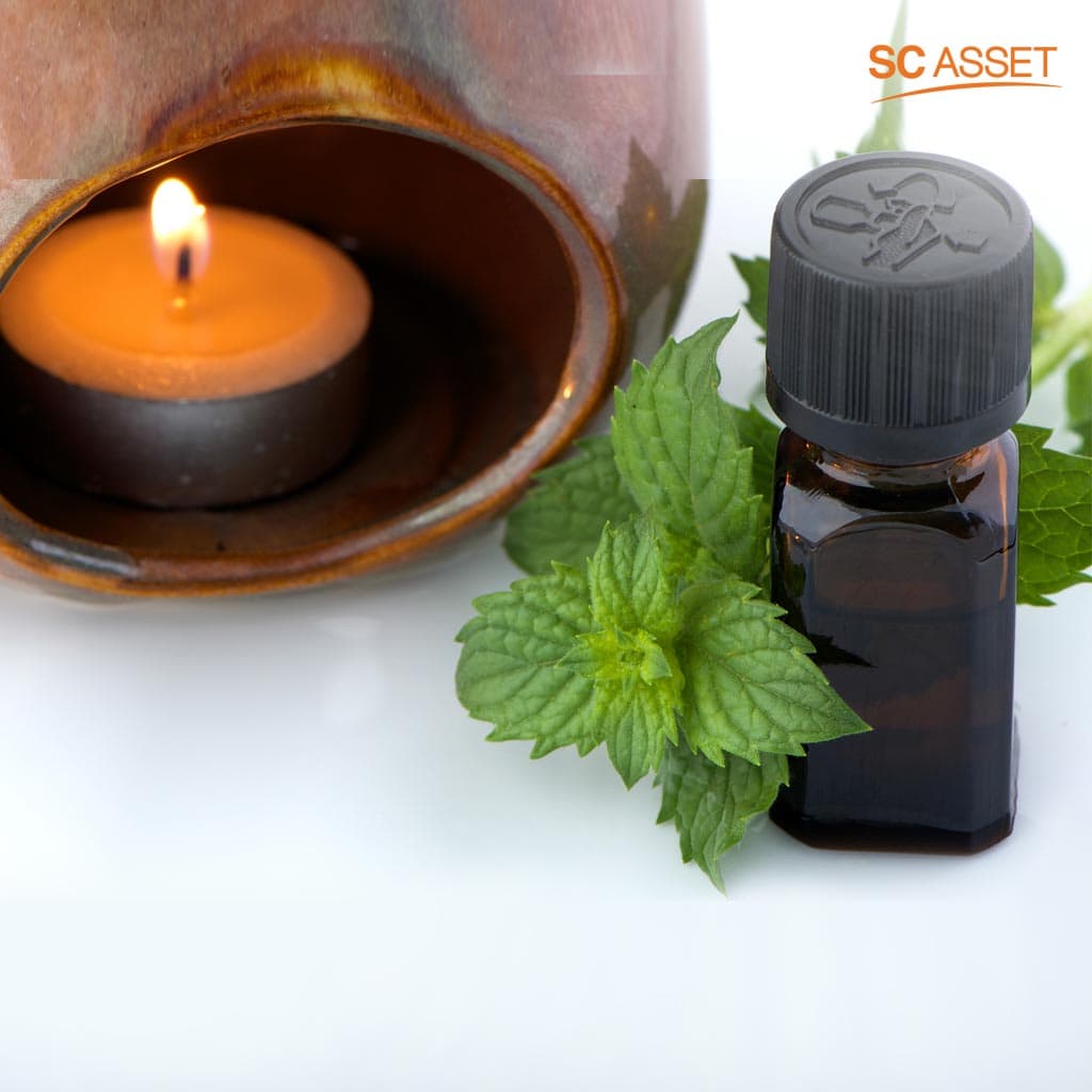 การใช้สเปรย์กลิ่นของใบสะระแหน่เป็นวิธีไล่ยุงแบบธรรมชาติ