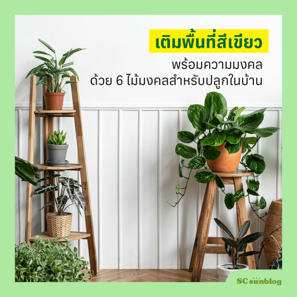 ปีใหม่หัวใจกรีน