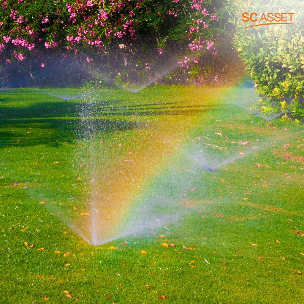 รักษาหญ้าให้เขียวขจี