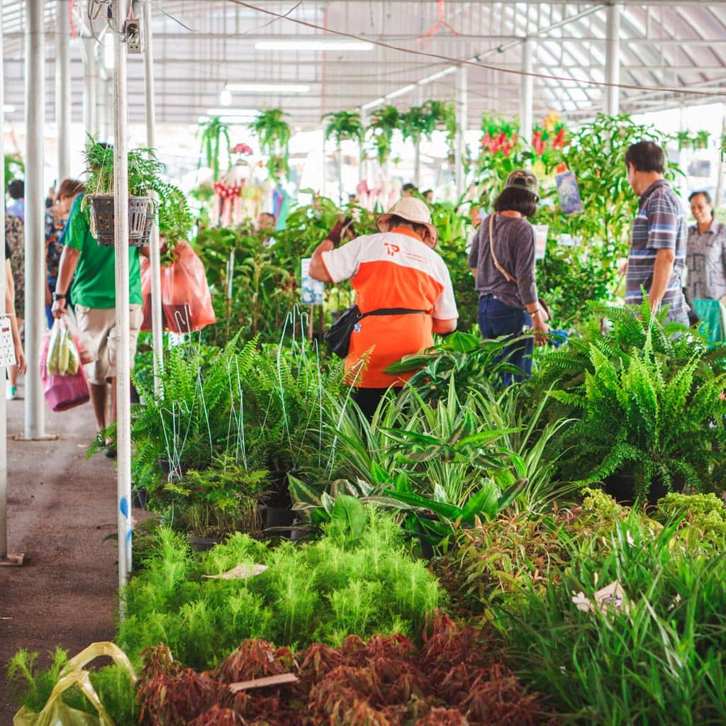 ตลาดต้นไม้จตุจักร