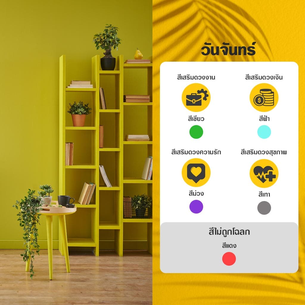 ทาสีบ้านถูกโฉลกคนวันจันทร์