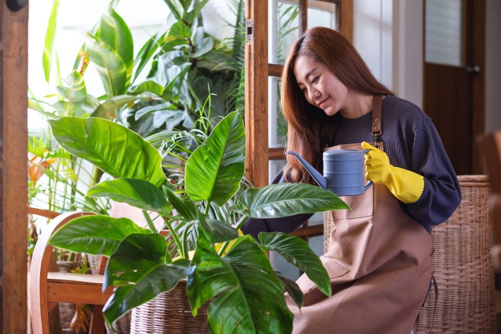 กิจกรรมทําคนเดียว