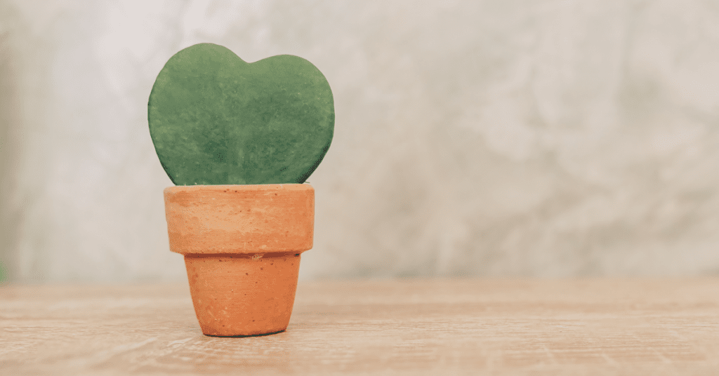 ของขวัญ วาเลนไทน์