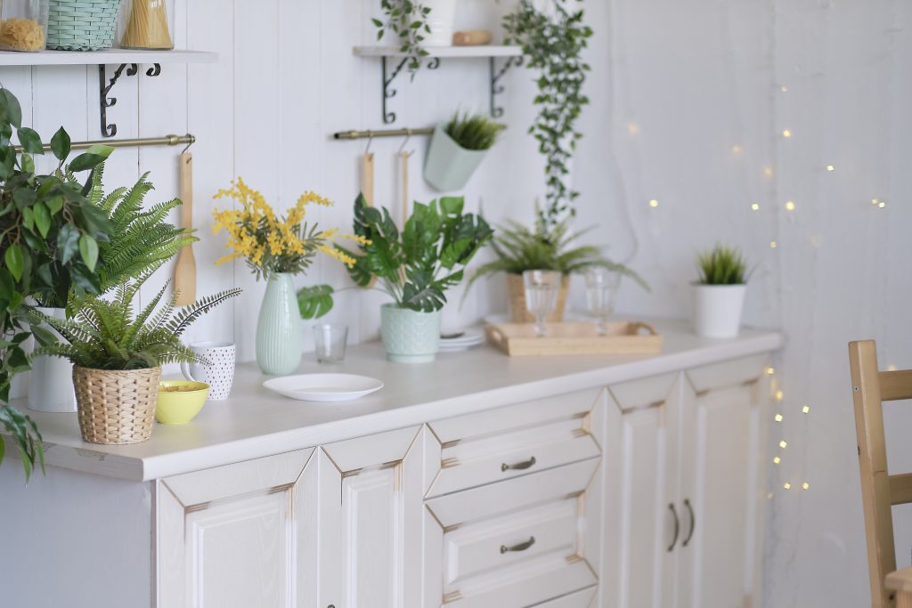 แบบบ้านในฝัน