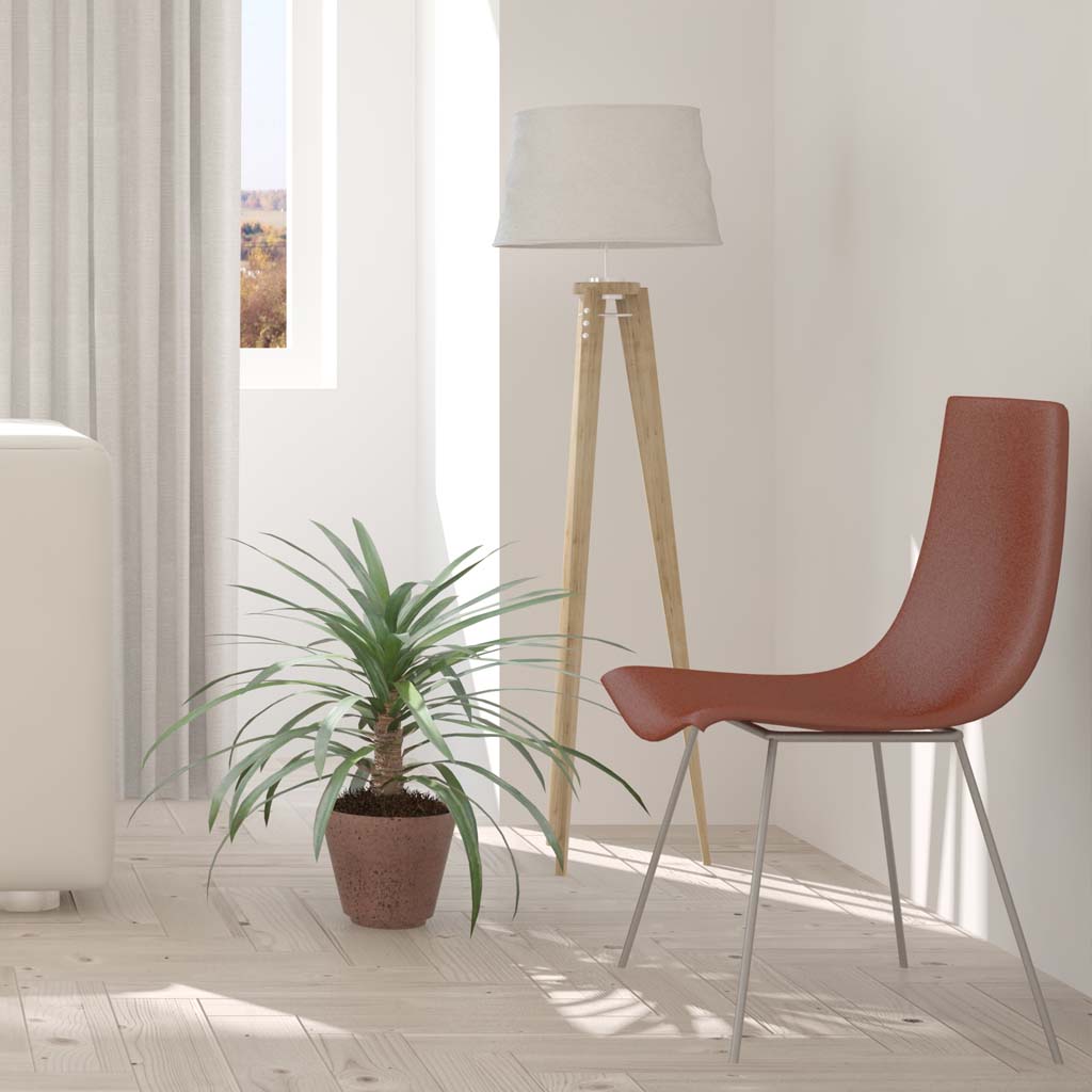 ไอเดียแต่งบ้านทาวน์โฮมสวย ๆ ด้วยต้นไม้ประดับ